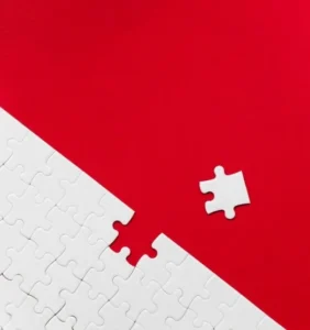 Jigsaw Puzzle